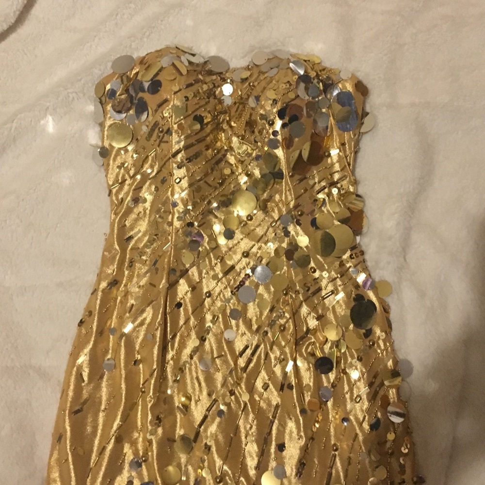 Enchanted formal dress